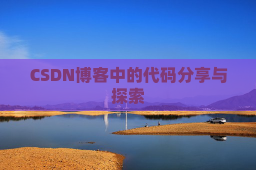 CSDN博客中的代码分享与探索